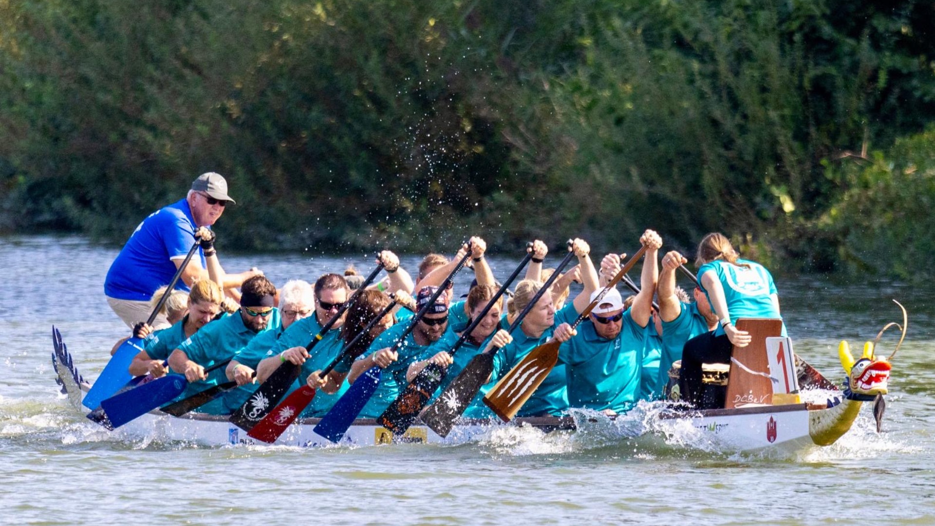 Dattelner Meerkatzen